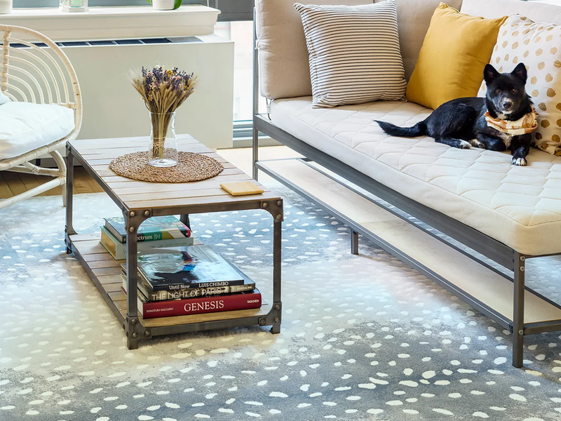 Prestigious - Prestige Mills rugs